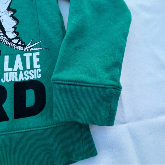 H & M Boys Size 6-8 Green Long Sleeve Dinosaur Graphic Sweater Dino Top - Picture 7 of 11